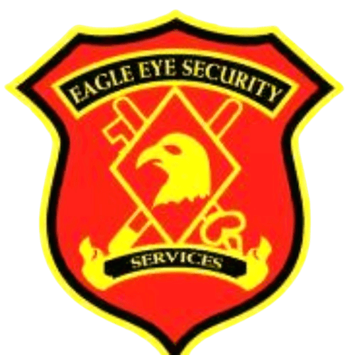 Eagle Eye Security logo